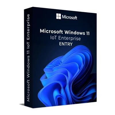 Win11 IoT Enterprise 2024 ENTRY                                                 